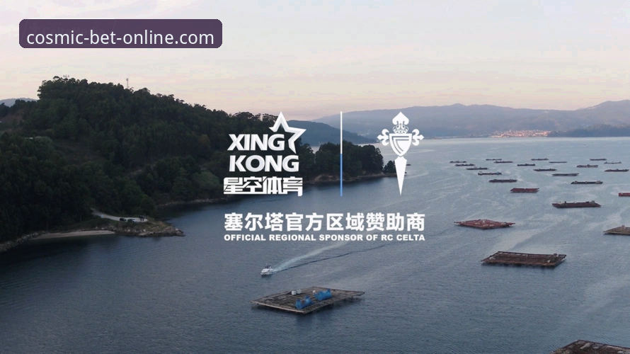 星空体育用户体验 星空体育用户体验到底怎么样?一个老用户的真实感受分享