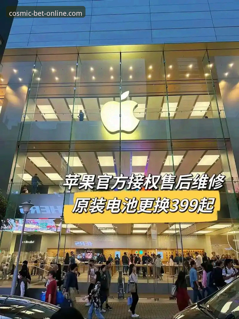 星空体育官方认证选择指南：从平台功能到安全验证的完整解析